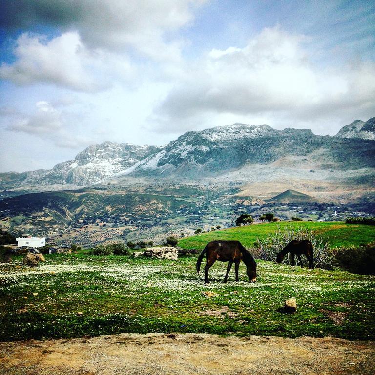 Vila Dar Jiblia Šafšawán Exteriér fotografie